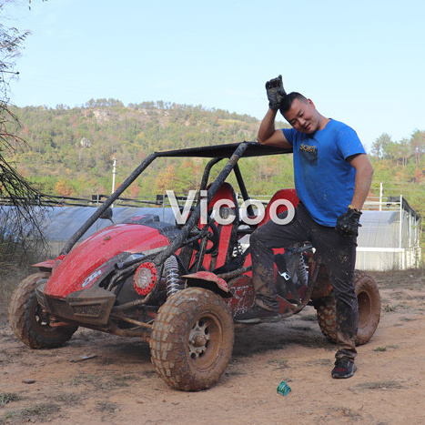 Vicoo 250cc dune buggy off road 4wd go kart on sale