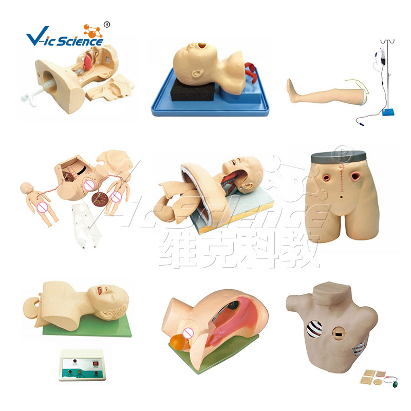 medical training simulators advanced overall female catheterization model cut model medical training manikin