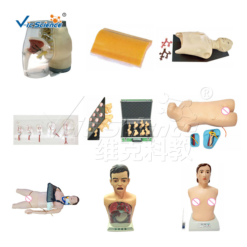 manikin nurse training advanced overall female catheterization model cut model medical training simulators