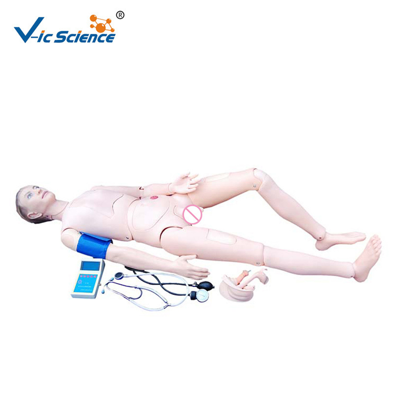 medical teaching dolls Male or Female Advanced Medical Teaching Dolls with Blood Pressure Training Arm Model nursing manikin