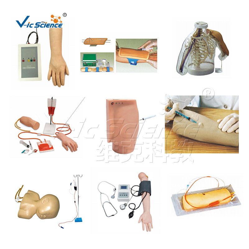 manikin nurse training advanced overall female catheterization model cut model medical training simulators