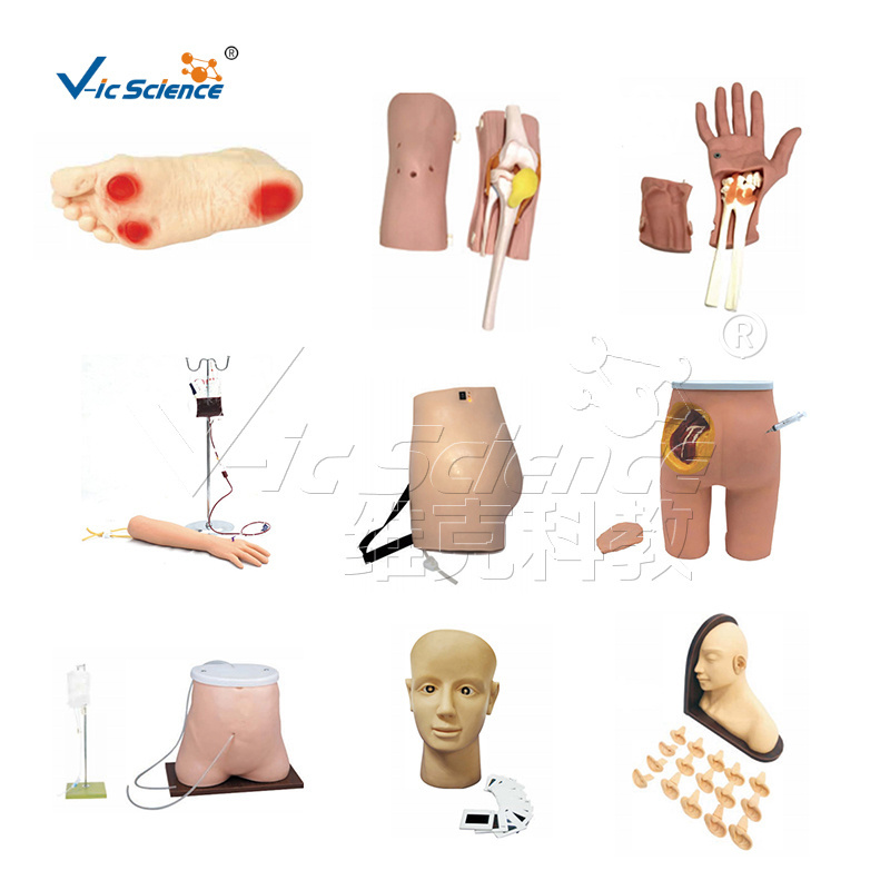 manikin nurse training advanced overall female catheterization model cut model medical training simulators