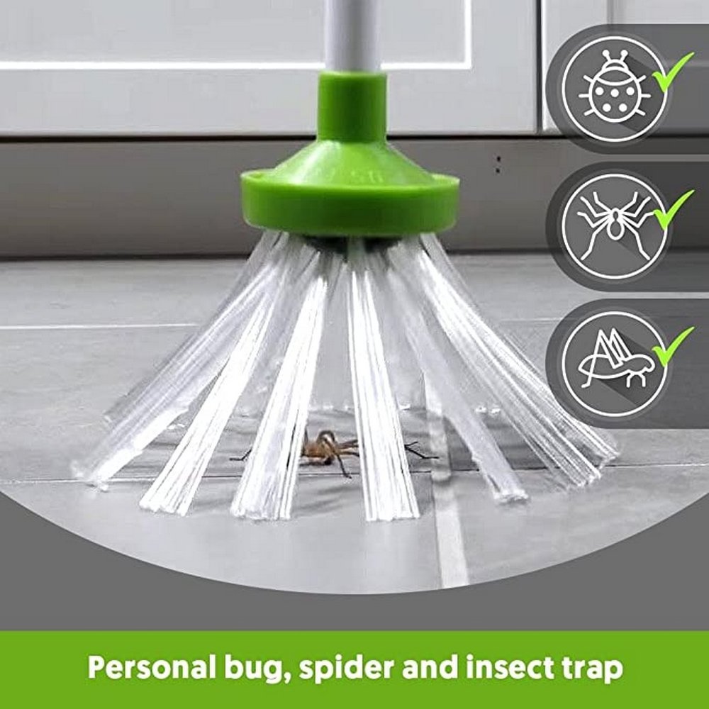 Spider and Insect Catcher