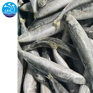 Frozen  Round  Scad  Hot Selling  with  Good Price Fresh round scad