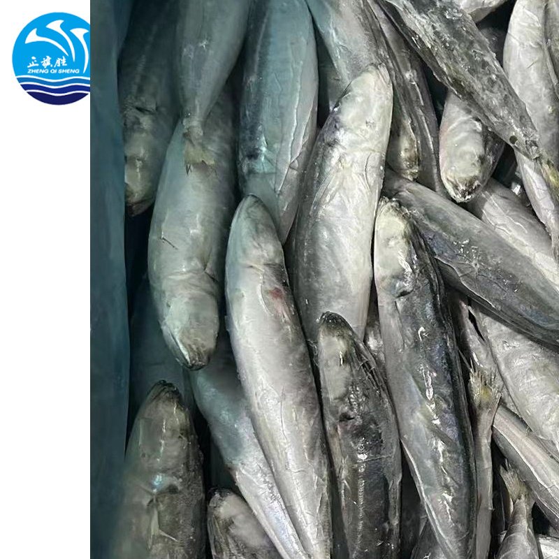 Frozen  Round  Scad  Hot Selling  with  Good Price Fresh round scad