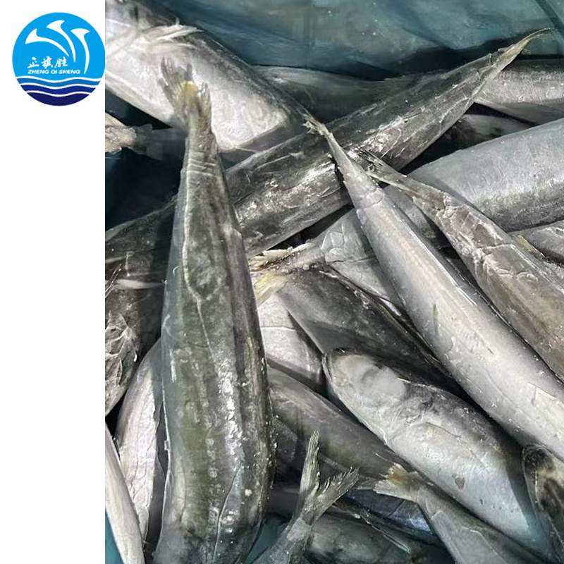 Frozen  Round  Scad  Hot Selling  with  Good Price Fresh round scad