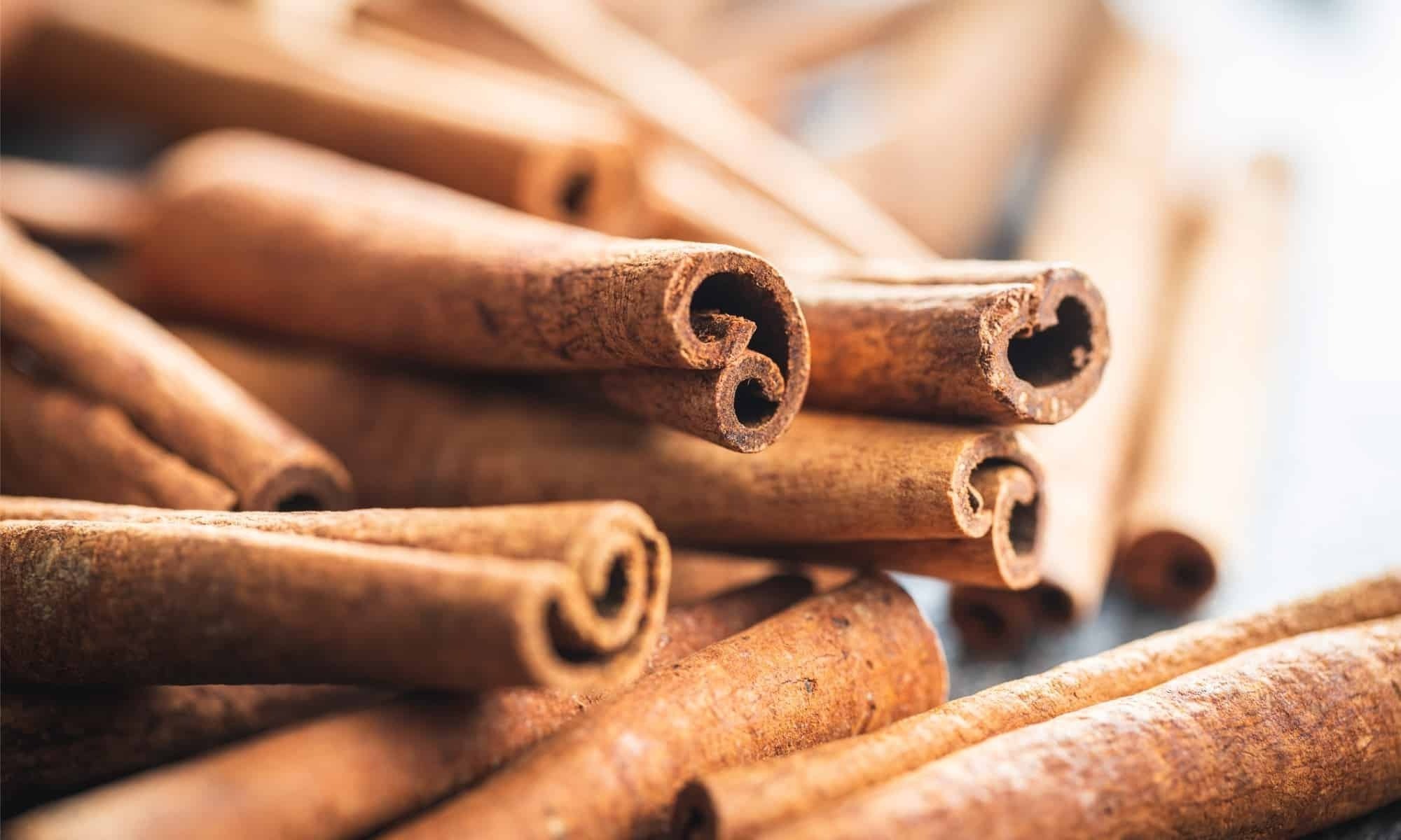 Pure Natural Raw  Dried Cinnamon 100% Organic Cinnamon Cinnamoncinnamon Wholesale Price Single Spice