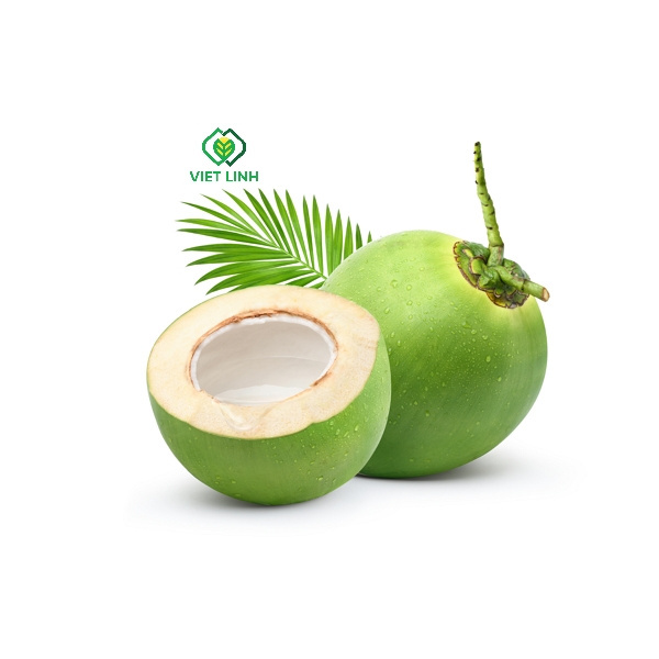 Ready to ship Exporter Tropical Fruit/ Organic Mature Coconut/ Fresh green Coconut from Vietnam farm