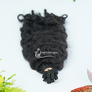 F-Tip Full Colored  Free Sample Mink Natural Raw Virgin Brazilian Cuticle Aligned Hair Bundles Human Hair Extension