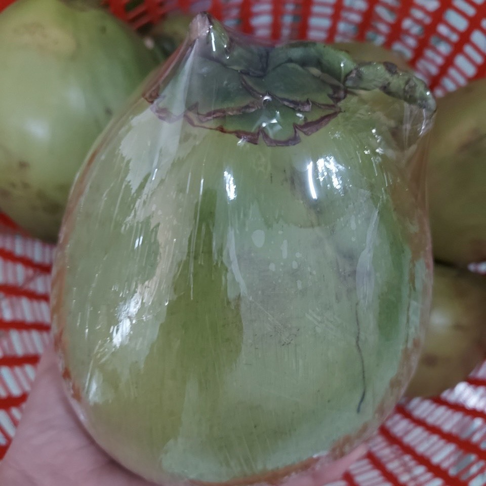 FRESH FRUIT COCONUT FOR DRNK - SWEET NATURAL Agriculture Vietnam Competitive Price High Quality Green Coconut