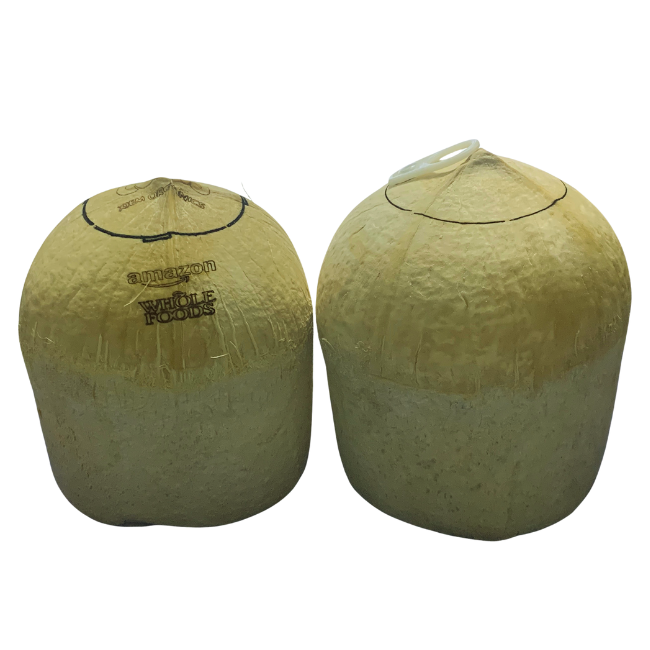 Vietnamese Coconut Magic: Superior Quality, Affordable Rates, Low MOQ for Export, Customized to Meet Your Needs.