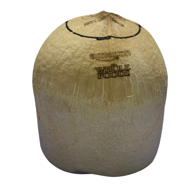 Vietnamese Coconut Magic: Superior Quality, Affordable Rates, Low MOQ for Export, Customized to Meet Your Needs.