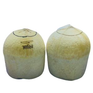 Vietnamese Coconut Magic: Superior Quality, Affordable Rates, Low MOQ for Export, Customized to Meet Your Needs.