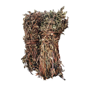 "KIM" HIGH QUALITY DRIED GRASS WITH JELLY EXPORT FROM VIETNAM COMPETITIVE AFFORDABLE PRICE