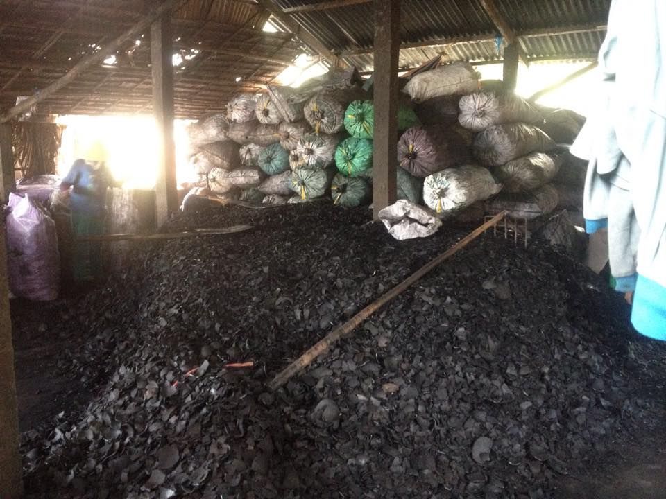 COCONUT SHELL CHARCOAL for bbq charcoal/ shisha charcoal making- Export standard quality  from Vietnam Cheapest price