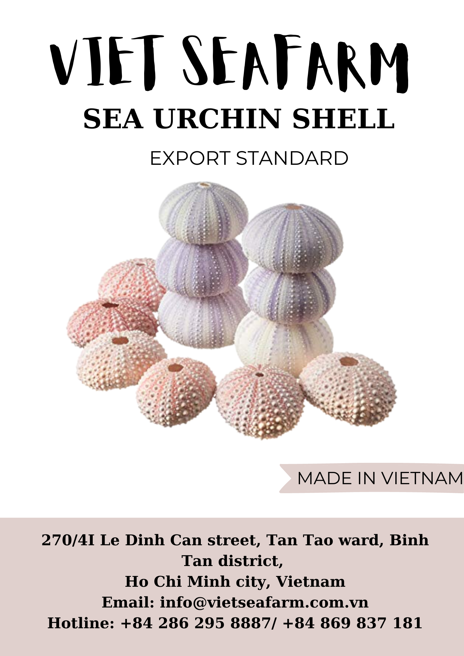 [HOT] WHOLESALE/ SEA URCHIN SHELL HIGH QUALITY/FROM VIETNAM/BEST PRICE FOR YOUR CHOICE