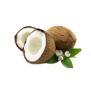 (ADAM) NATURAL PRODUCT FROM VIETNAM/ SEMI HUSK COCONUT/ HIGH QUALITY WITH SWEET TASTE AND BEST PRICE ON THE MARKET