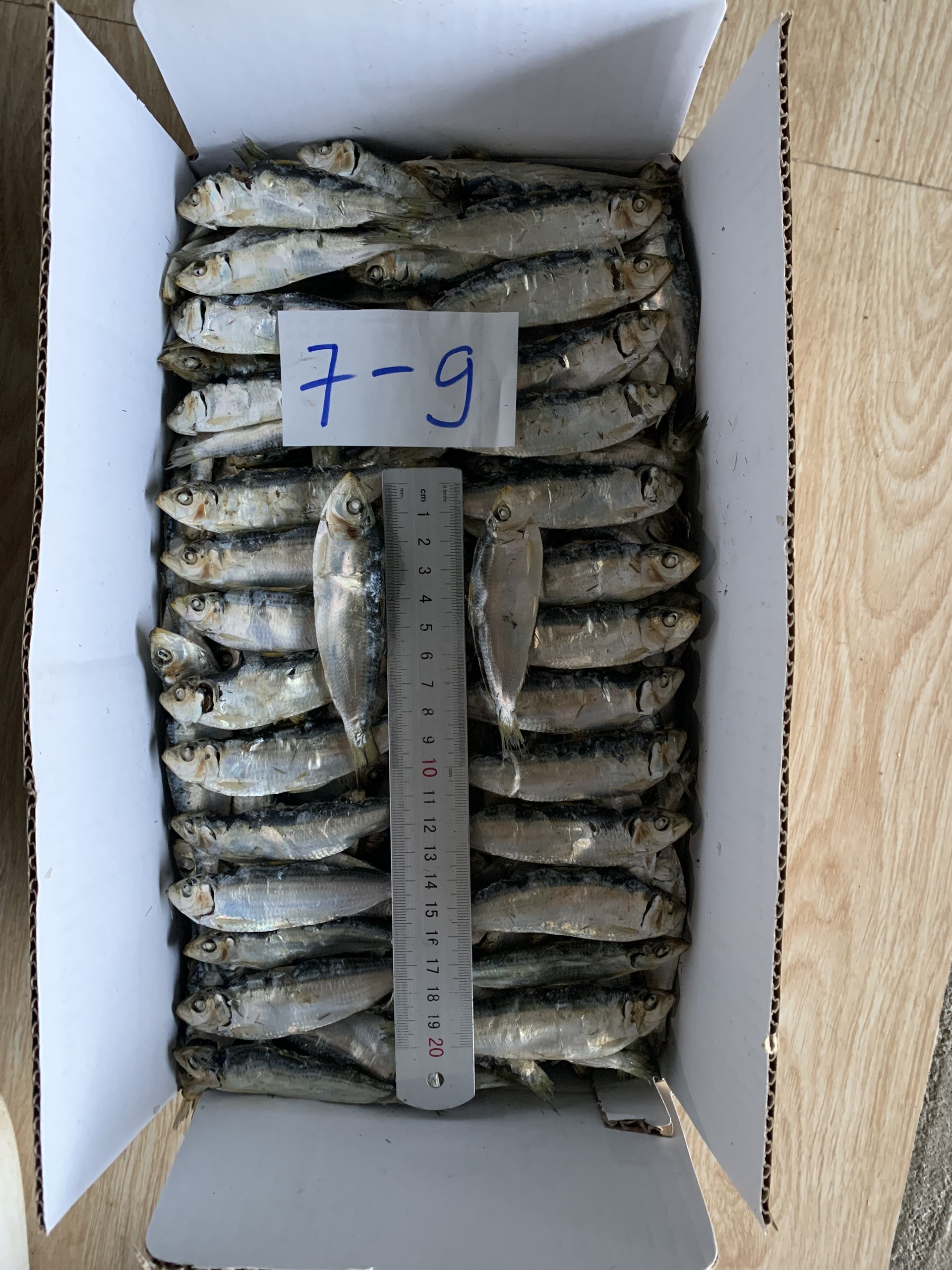 High Quality Dried Herring Fish Whole Beautiful Steamed Salted 7cm up From Vietnam With Competitive Price For Wholesale