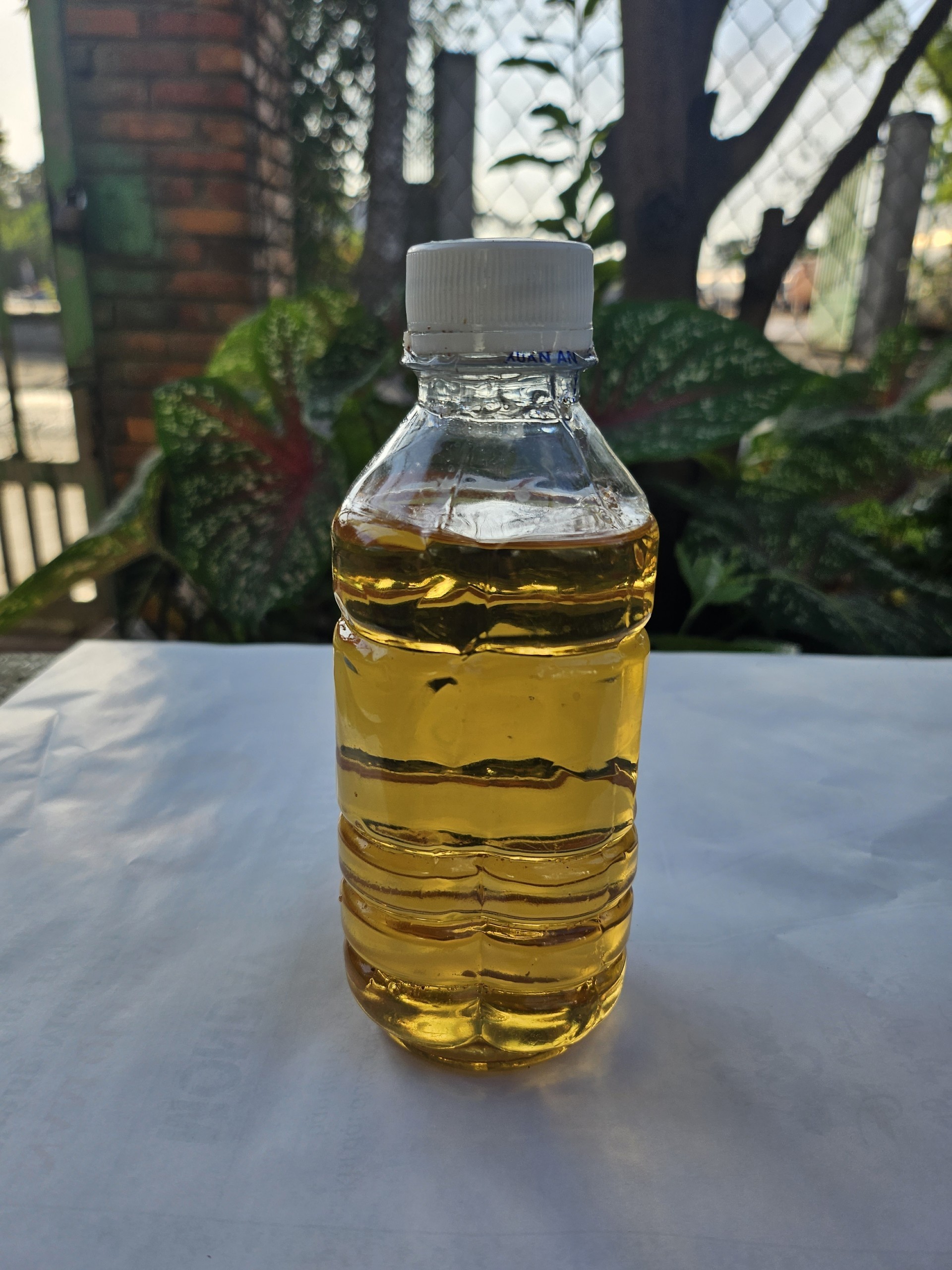 2023 Best Selling High quality raw coconut oil yellow color from Vietnam for making soap, cosmetics products, refining