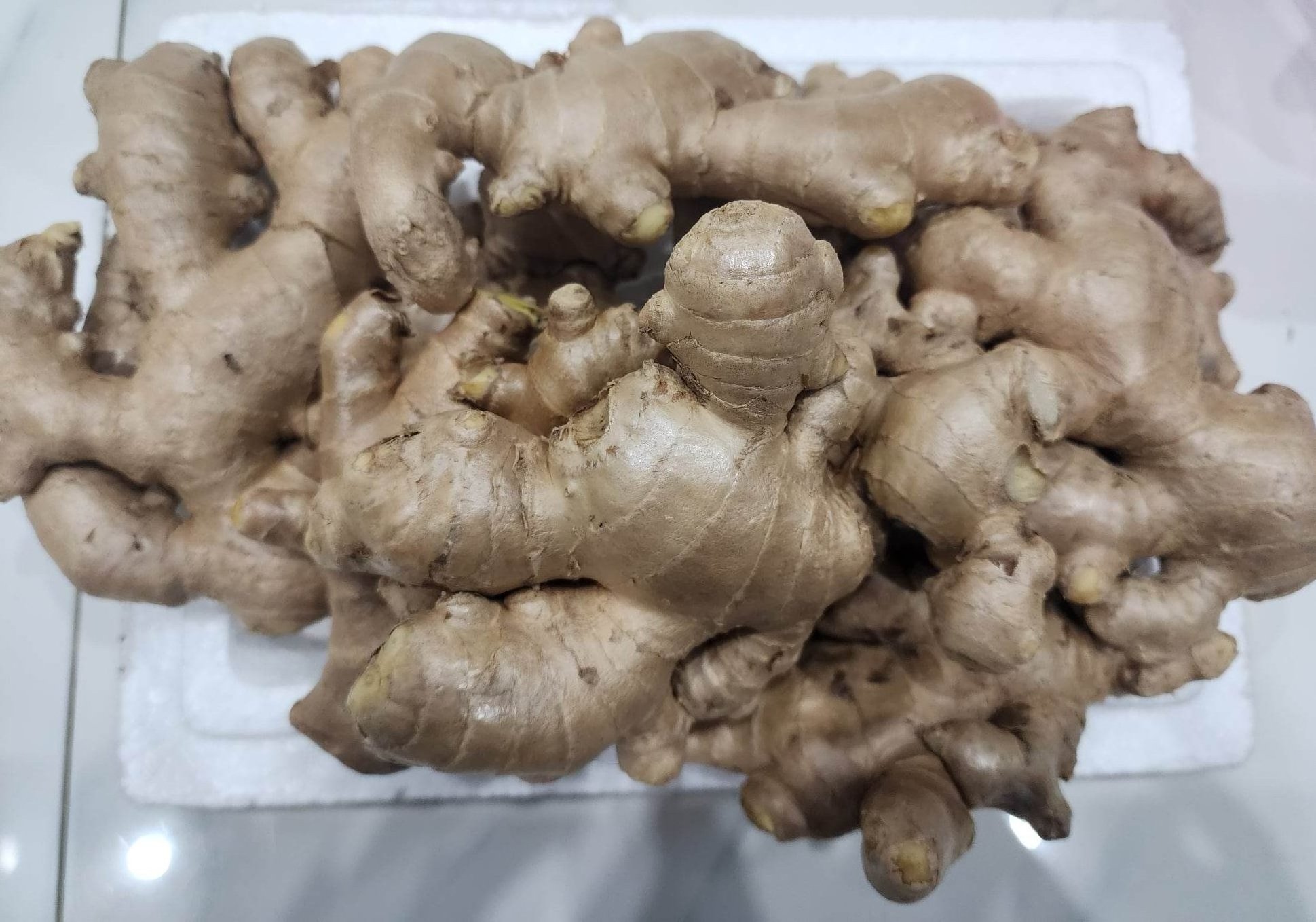 (ADAM) HOT DEAL] Fresh Ginger / Premium Ginger Export Standard - High Quality - Good Price From Vietnam