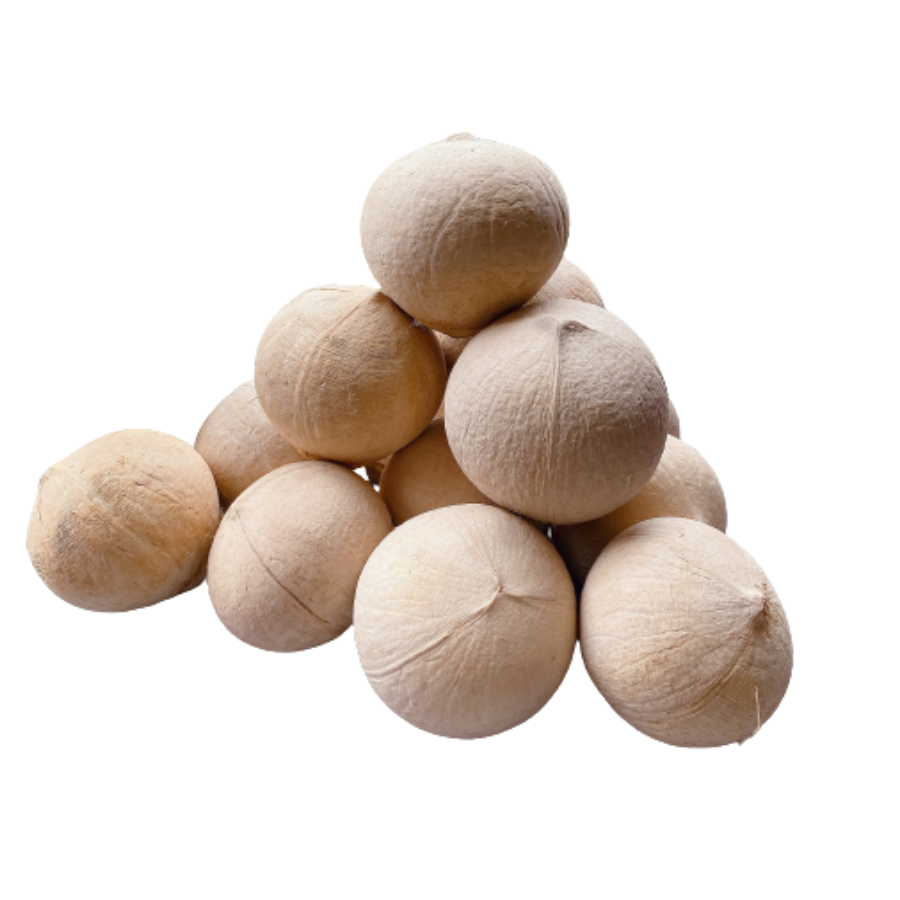 FRESH SIAMESE COCONUT_FROZEN SIAMESE COCONUT FROM VIETNAM SUMMER HOT SALE 2022 WITH THE COMPETITIVE PRICE