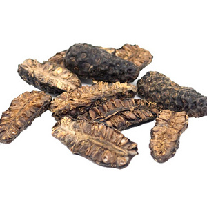 DRIED NONI FRUIT- MULBERRY- CHEEZEFRUIT-  GREAT MORINDA- BEST SELLER - TOP PRODUCT- FROM VIET NAM