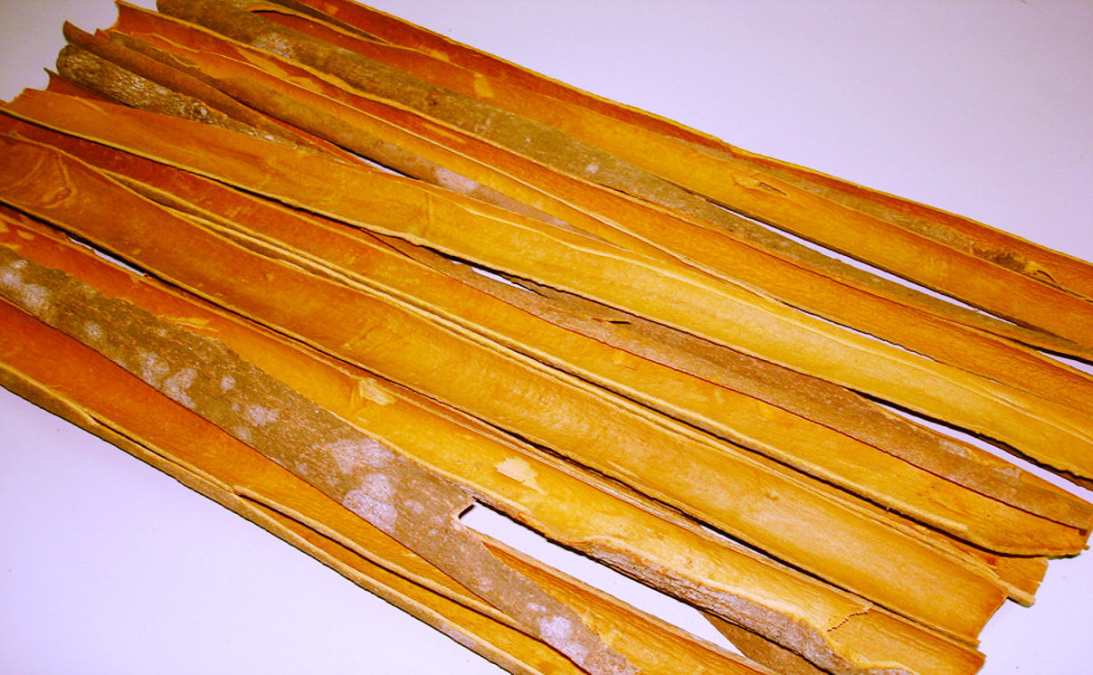 Supply Cinnamon Stick Split Cassia/ Dried Spice With Competitive Price For Export from Vietnam in 2023