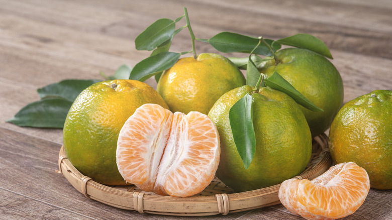 Fresh Orange  Sweet and Fresh Taste Skin Orange Flesh Wholesale Citrus Fruit from Vietnam in 2023