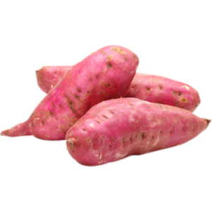 SWEET POTATO HIGH QUALITY EXPORT STANDARD 2022