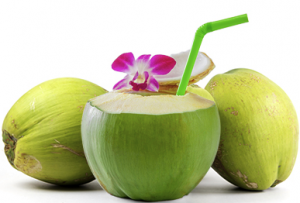 **Special Product** BEST FRESH YOUNG COCONUT With High Quality And Best Price From Viet Nam (2022).