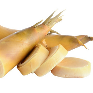 BEST PRODUCT FOR YOU!!! BAMBOO SHOOTS FROM VIETNAM WITH COMPETITIVE PRICE AND HIGH QUALITY EXPORT IN 2022