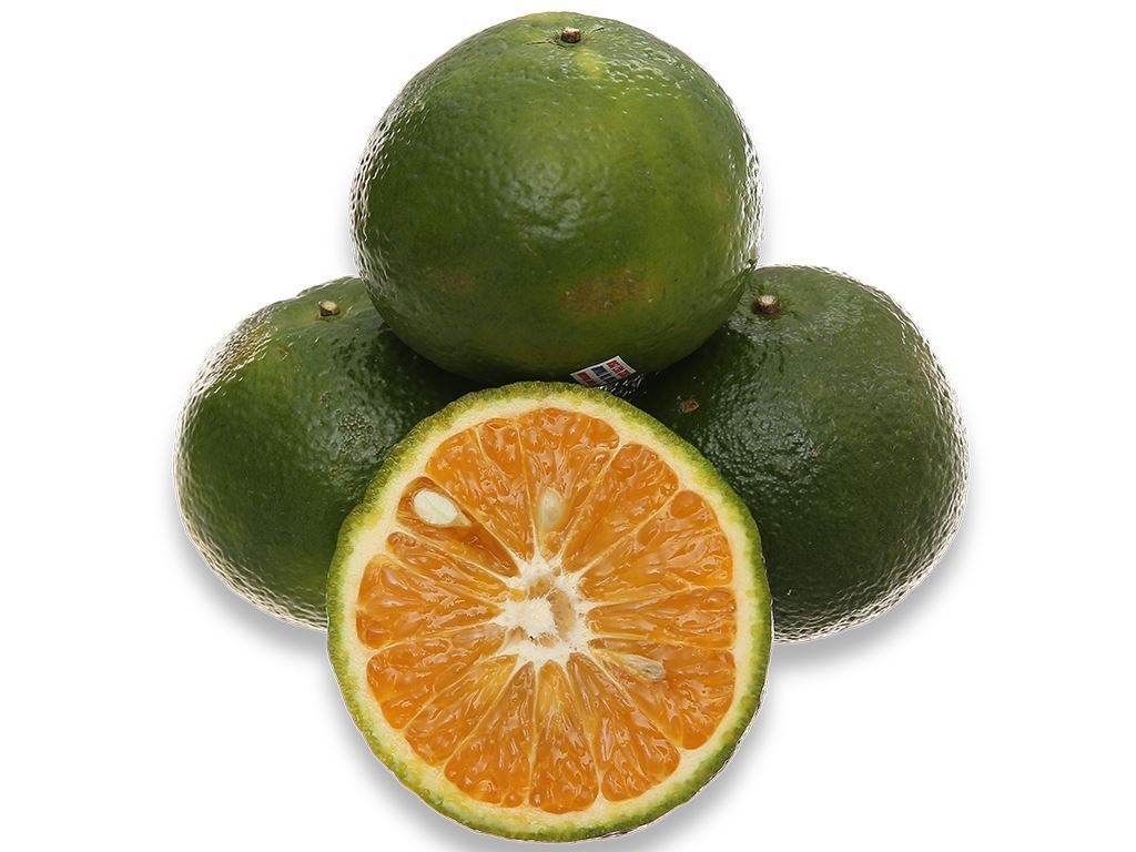 GREEN ORANGE Sweet and Fresh Taste Green Skin Orange Flesh Wholesale Fresh Orange Citrus Fruit in Vietnam 2023