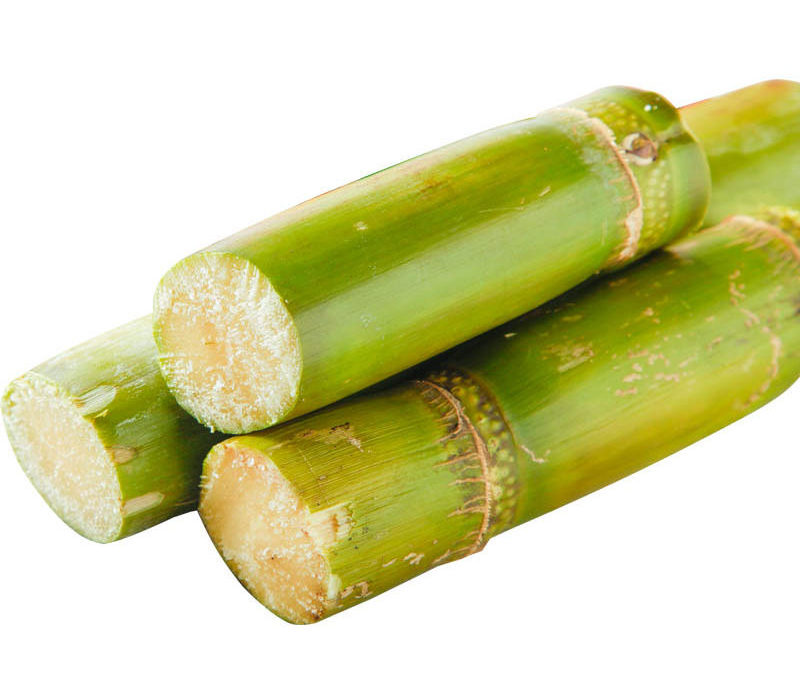 HOT 2023 FROZEN SUGAR CANE - ORIGINAL SUGAR CANE export from Vietnam with best price and high quality