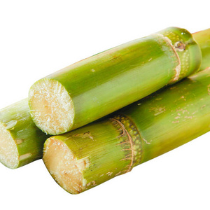 HOT 2023 FROZEN SUGAR CANE - ORIGINAL SUGAR CANE export from Vietnam with best price and high quality