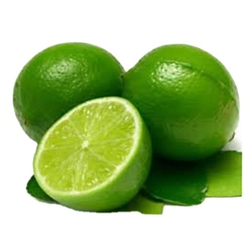 High Quality Of Fresh Green Lemon - Fresh Lime Seedless With Competitive Price From Vietnam For Wholesale