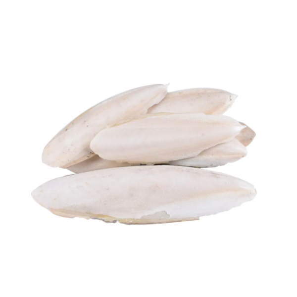 {HOT DEAL} - VIETNAM TRIMMED CUTTLEFISH BONE WITH RIGHT PRICE AND BEST QUALITY FOR EXPORTING