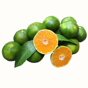 GREEN ORANGE Sweet and Fresh Taste Green Skin Orange Flesh Wholesale Fresh Orange Citrus Fruit in Vietnam 2023