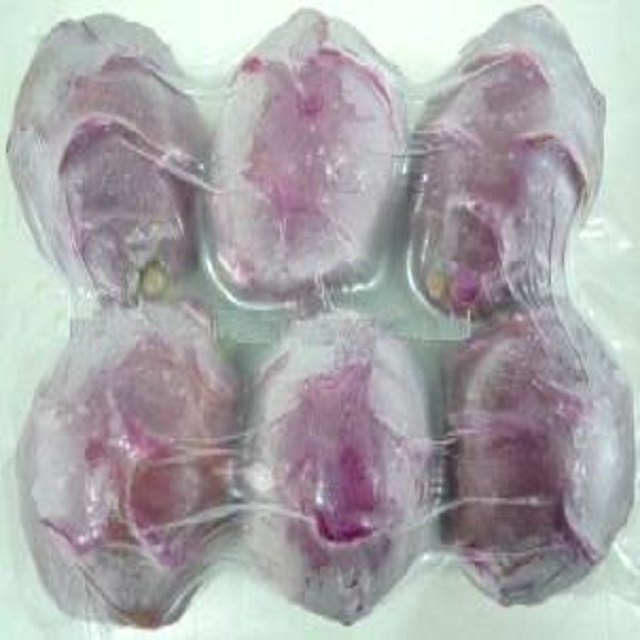 FROZEN DRAGON FRUIT-BEST SELLER FROZEN FRUIT FROM VIETNAM WITH COMPETITIVE PRICE AND HIGH QUALITY IN THE MARKET FRO EXPORT IN 20