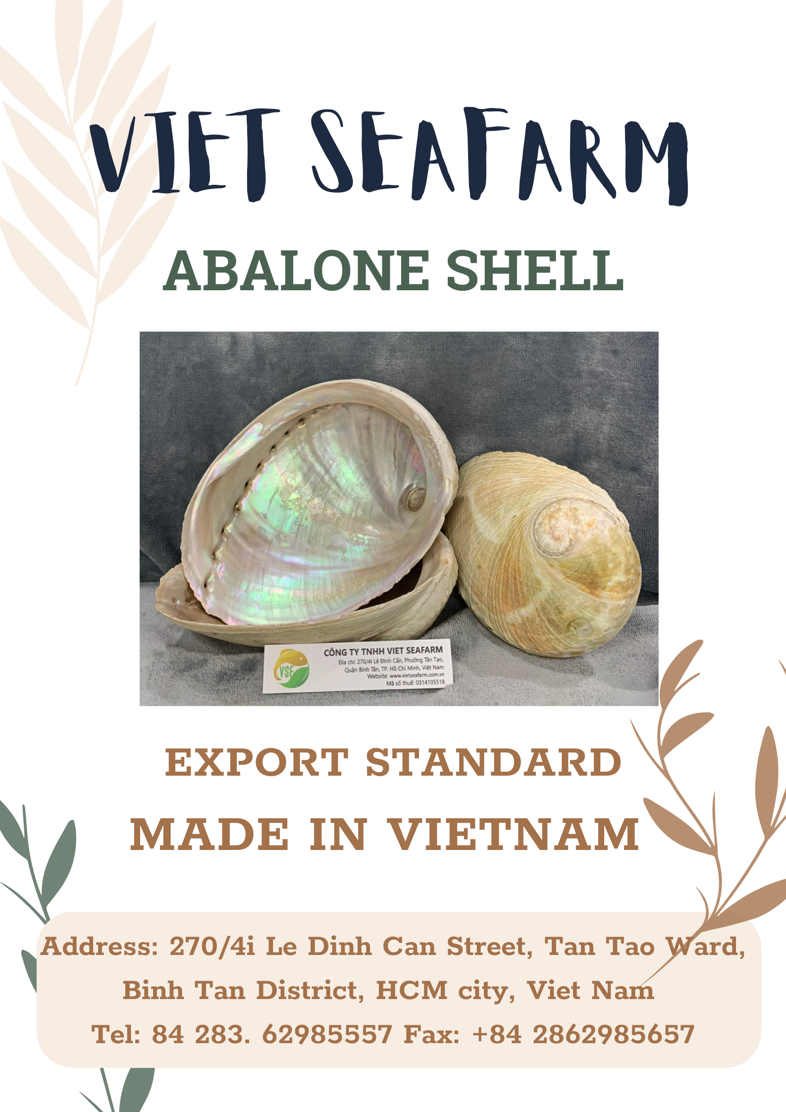 High Quality Abalone Shell - Seashell for Decoration From Vietnam - Cheapest Price Wholesale - Ready In Stock - Sample Available