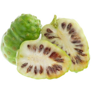 WHOLESALE THE FRESH NONI FRUIT WITH HIGH QUALITY AND BEST SELLER COMPETITIVE PRICE FROM VIETNAM