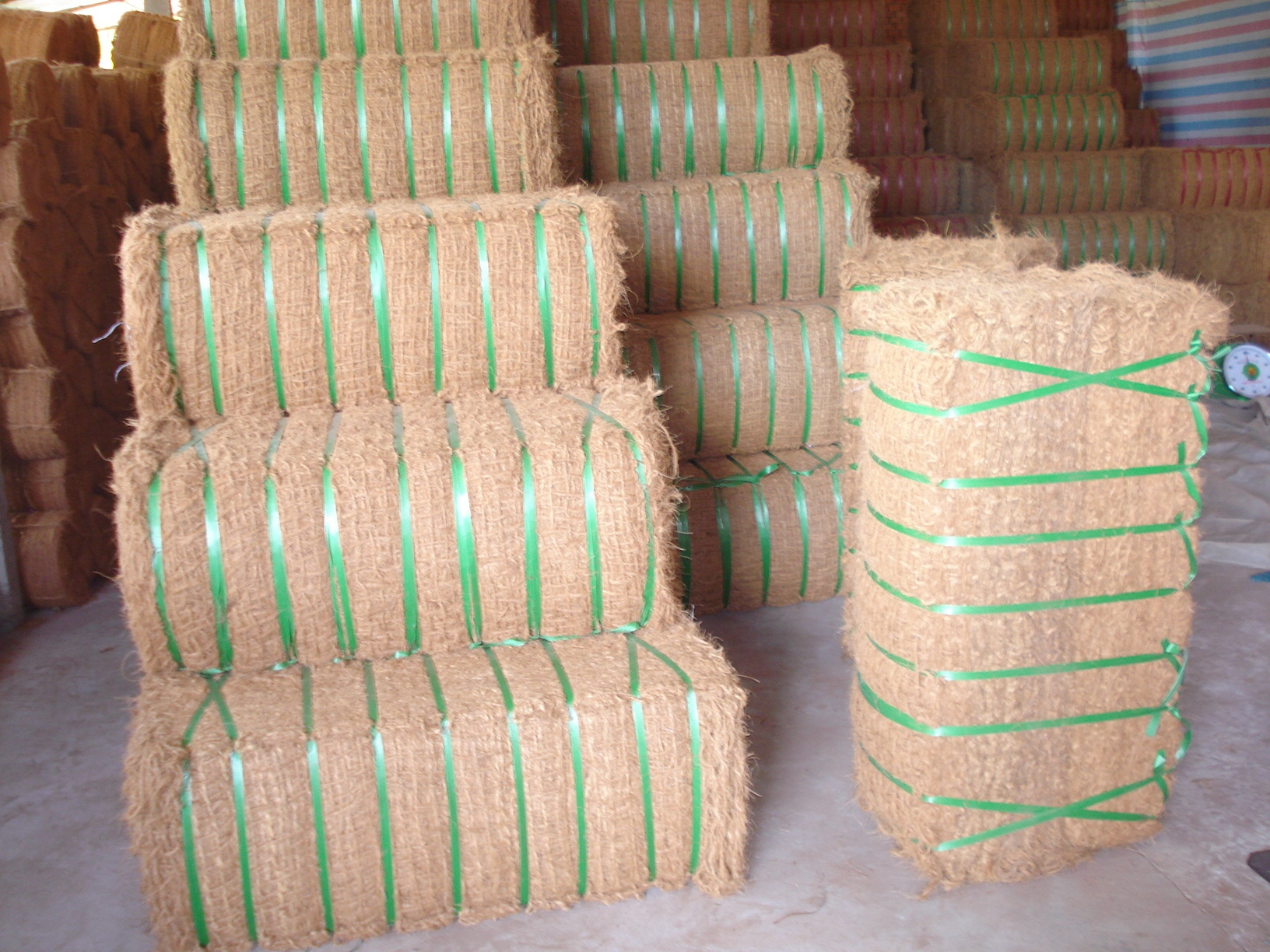 Wholesale Vietnamese Premium Coconut Fiber for making mattress ECO friendly - Competitive Price - Ready in stock