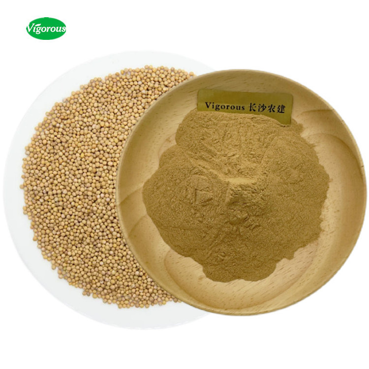 Free samples mustard seed extract powder/white mustard extract