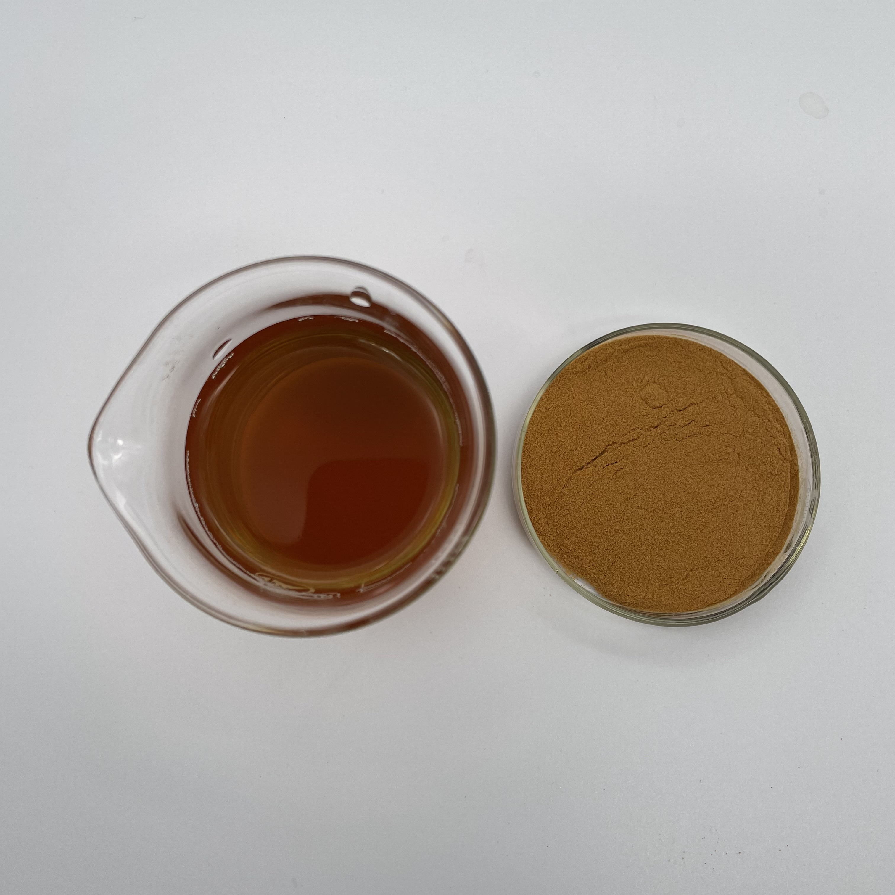 Free Sample 100% Hot Sale Good Quality Dictyophora indusiata extract