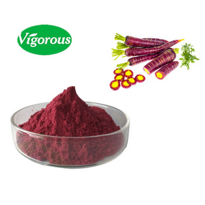 Hot sale 100% natural Daucus carota L. pigment Black Purple Carrot Juice Concentrate Powder  for wholesale