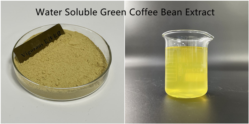 Natural green chlorogenic acid health foods green coffee bean extract