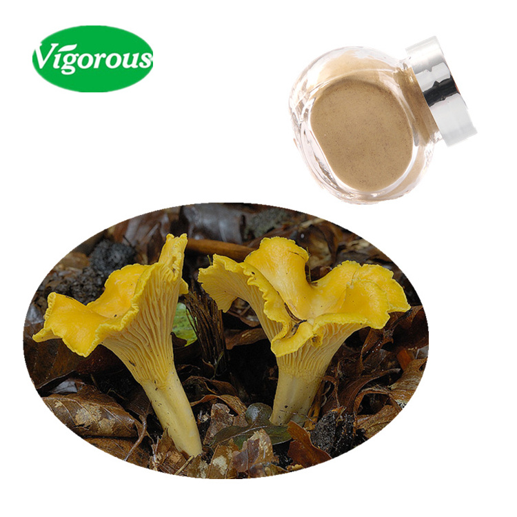 30%Polysaccharides Chanterelle cibarius Mushroom Extract Powder