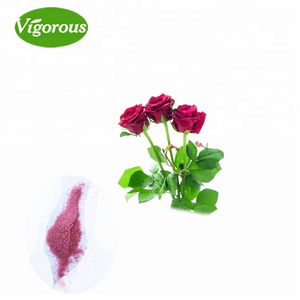 Pure Natural Good Solubility Rose Petal Extract Powder