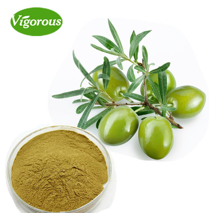 Vigorous supply organic olive leaf extract 30% Maslinic Acid