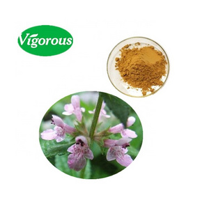 high quality Phlomis umbrosa powder 10:1 Phlomis umbrosa Turcz extract