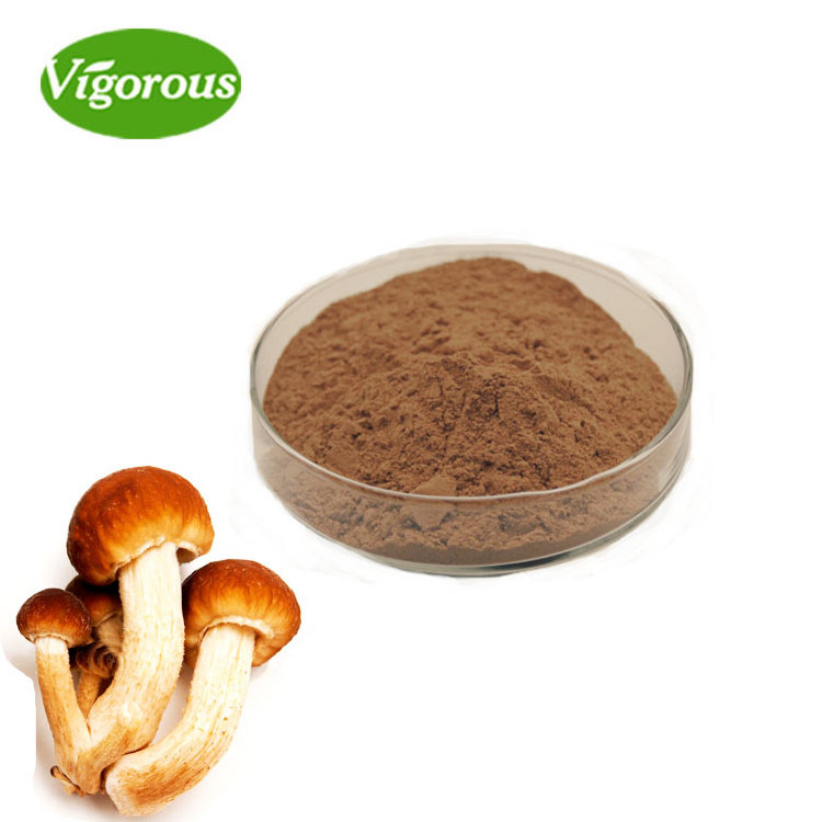 Pure Natural Free Sample Velvet pioppini Mushroom Extract Powder